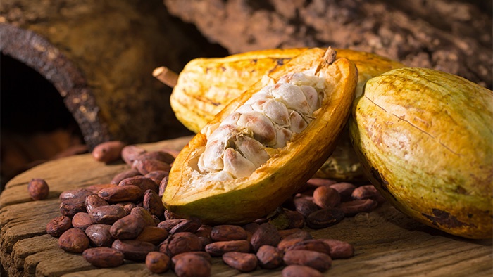 Fare in casa il cioccolato fondente senza zucchero? A basso indice glicemico, senza glutine, senza latticini, veloce, con cinque ingredienti.
